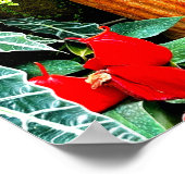 Tropische bloemen Mexico Hacienda Garden Poster (Hoek)