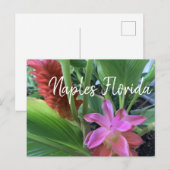 Tropische bloemen Naples Florida Briefkaart (Voorkant / Achterkant)