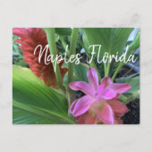 Tropische bloemen Naples Florida Briefkaart (Voorkant)