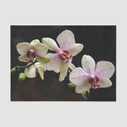 Tropische bloemen tissuepapier (Voorkant)