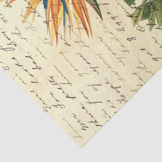  tropische bloemen tissuepapier (Detail)