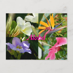 Tropische bloemen van Kauai Hawaii Briefkaart