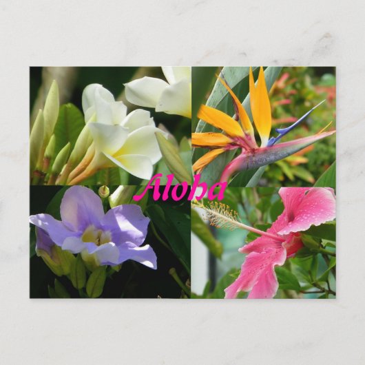 Tropische bloemen van Kauai Hawaii Briefkaart (Voorkant)