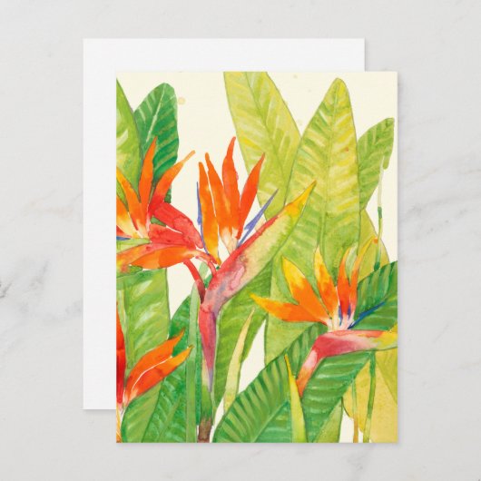 Tropische bloemen | Vogel van het Paradijs Briefkaart (Voorkant / Achterkant)