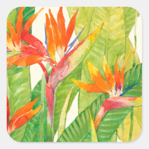 Tropische bloemen   Vogel van het Paradijs Vierkante Sticker