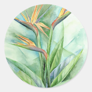 Tropische Bloemvogel van het Paradijs Schilderij - Ronde Sticker
