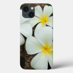 Tropische bloesems in het zuidelijke deel van de S Case-Mate iPhone Case