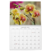 Tropische bloesems kalender (Jan 2027)