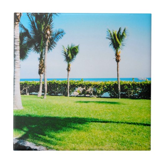 Tropische bomen Tile Tegeltje (Voorkant)