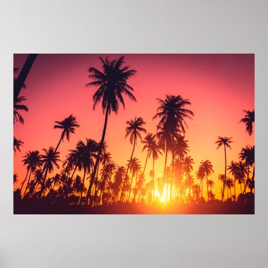 Tropische bomen zonsondergang poster (Voorkant)