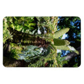 Tropische boom foto magneet (Horizontaal)