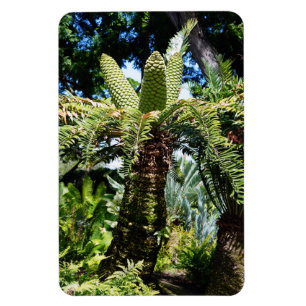 Tropische boom foto magneet