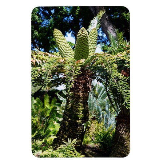 Tropische boom foto magneet (Verticaal)