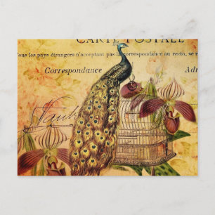 tropische botanische orchidee moderne  pauw briefkaart