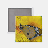 Tropische botervliegen magneet (Voorkant / Achterkant)