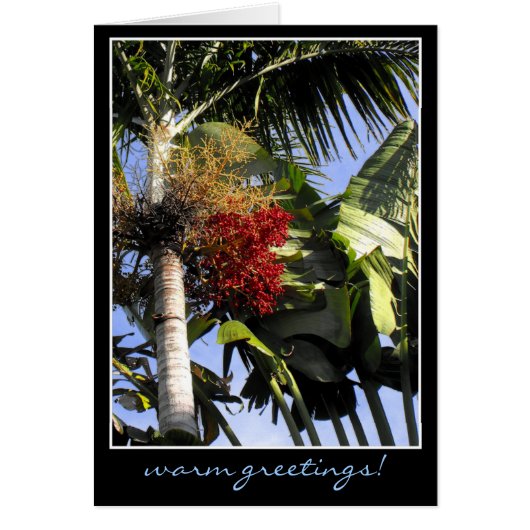 Tropische bries (Voorkant)