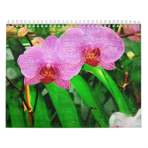tropische bromeliad en orchideeën, sprookjestropi kalender