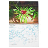tropische bromeliad en orchideeën, sprookjestropis kalender (Mar 2026)