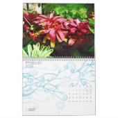 tropische bromeliad en orchideeën, sprookjestropis kalender (Feb 2026)
