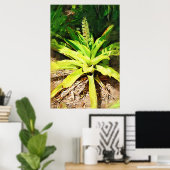 Tropische Bromeliad - wandelen in de tuin Poster (Thuiskantoor)