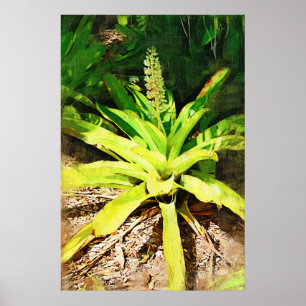 Tropische Bromeliad - wandelen in de tuin Poster