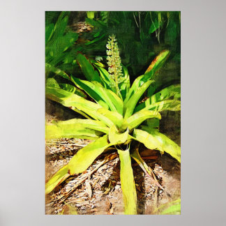 Tropische Bromeliad - wandelen in de tuin Poster