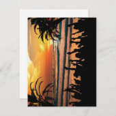 Tropische buikuitvindingen kaart (Voorkant / Achterkant)