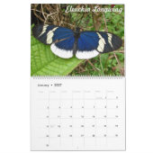 Tropische Butteflies Kalender (Jan 2027)