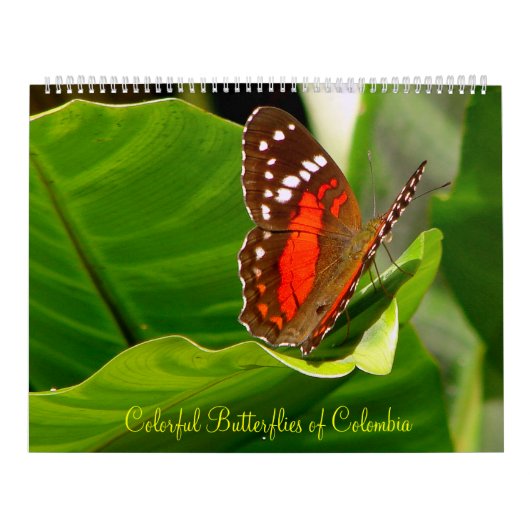Tropische Butteflies Kalender (Hoes)