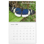 Tropische Butteflies van Colombia Kalender (Jan 2026)