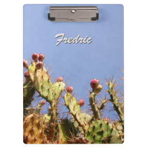 Tropische Cactus tegen Blauwe Skies elke tekst Klembord