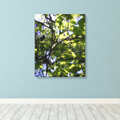 Tropische catalapboom wilde natuur canvas afdruk (Insitu (Houten vloer))