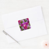 Tropische Cattleya Orchid Flower Vierkante Sticker (Envelop)