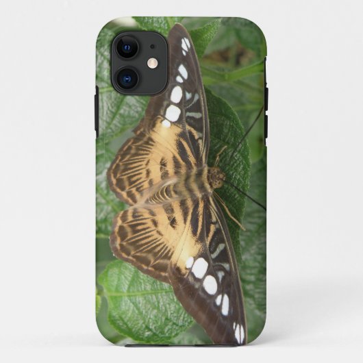 Tropische Clipper Butterfly iPhone Case (Achterkant)