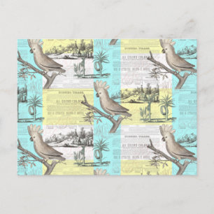 Tropische Cockatoendroam Briefkaart