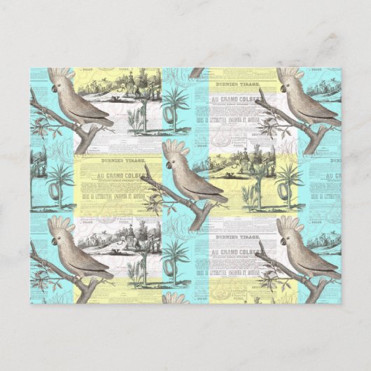 Tropische Cockatoendroam Briefkaart (Voorkant)