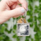 Tropische cycloon Laila Sleutelhanger (Hand)