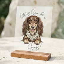 Tropische Dachshund Huwelijksdrankjes Zijn Op Mij