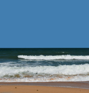 Get Wallpaper Surf Douchegordijnen Zazzle Nl For Free