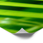 (Tropische draai) Poster afdrukken (Hoek)