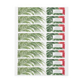 Tropische droom (Vel)