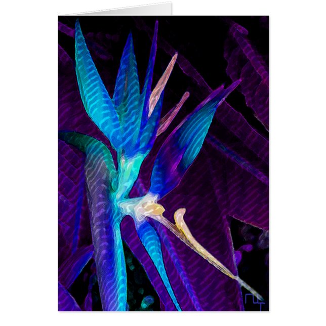 Tropische droom (Voorkant)