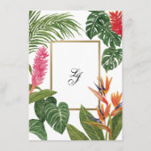 Tropische Droom Informatiekaartje (Achterkant)