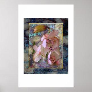 Tropische droom poster