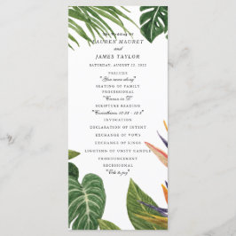 Tropische droom programmakaart