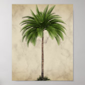  tropische elegant palmboom poster (Voorkant)