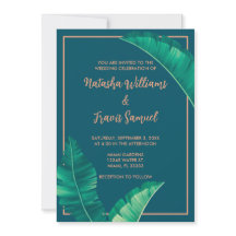 Tropische elegante palmbladeren