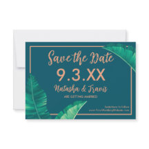 Tropische elegante palmbladeren