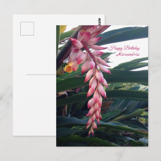 Tropische Elegante Roze Bloemen Verjaardag Briefkaart (Voorkant / Achterkant)