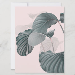 Tropische elegantie in Pastel